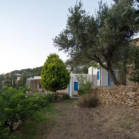 The Antique House Villa Batsi (Andros)