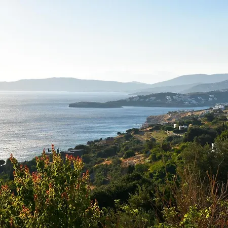 The Antique House Batsi